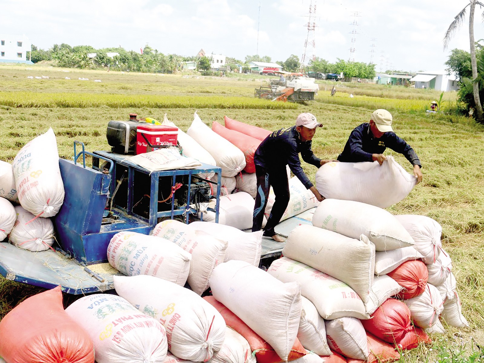 Phó Trưởng ban Kinh tế Trung ương: Thủ tướng đối thoại với nông dân để khơi thông nguồn lực phục vụ "tam nông" - Ảnh 2.