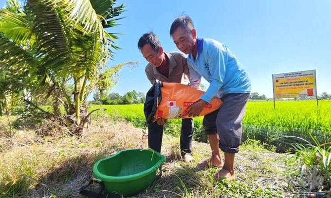 Dự án Sử dụng Phân bón đúng nhằm nâng cao hiệu suất sử dụng phân bón, tăng thu nhập cho nông dân, giảm phát thải khí nhà kính trong trồng lúa. Ảnh: Kim Anh.