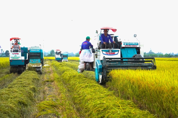 Dự kiến các địa phương vùng ĐBSCL sẽ mở rộng 98 mô hình thí điểm Đề án 1 triệu ha lúa chất lượng cao. Ảnh: Kim Anh.