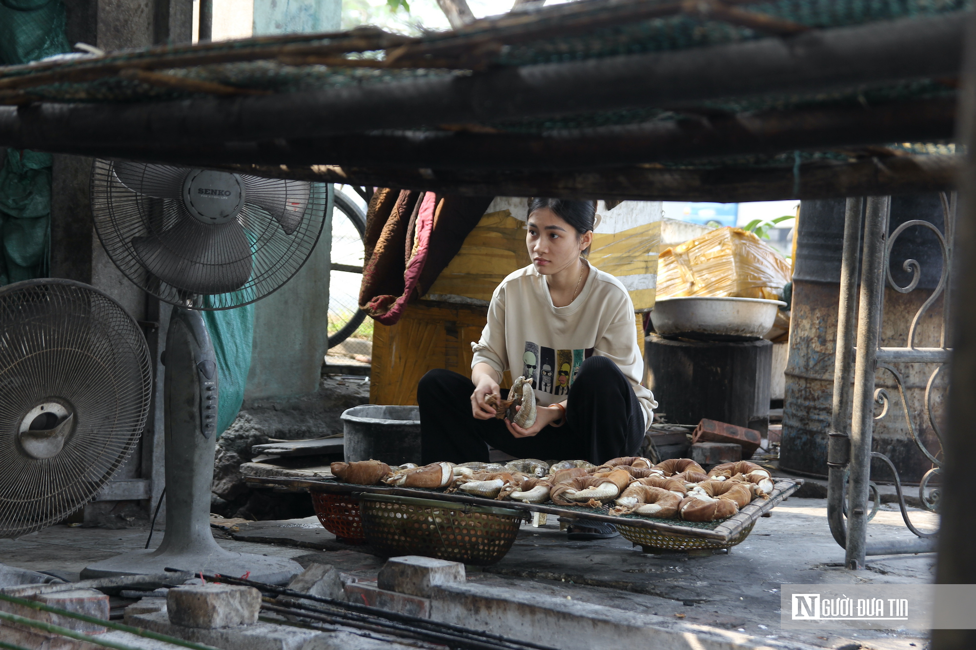 Làng cá nướng xứ Nghệ đỏ lửa suốt ngày đêm phục vụ Tết Nguyên đán- Ảnh 4.