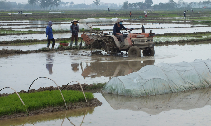 Cần tính toán đồng bộ, nối tiếp giữa các khâu từ gieo mạ, làm đất và gieo cấy, tránh tình trạng mạ chờ ruộng hoặc ruộng chờ mạ. Ảnh: Lê Bền.