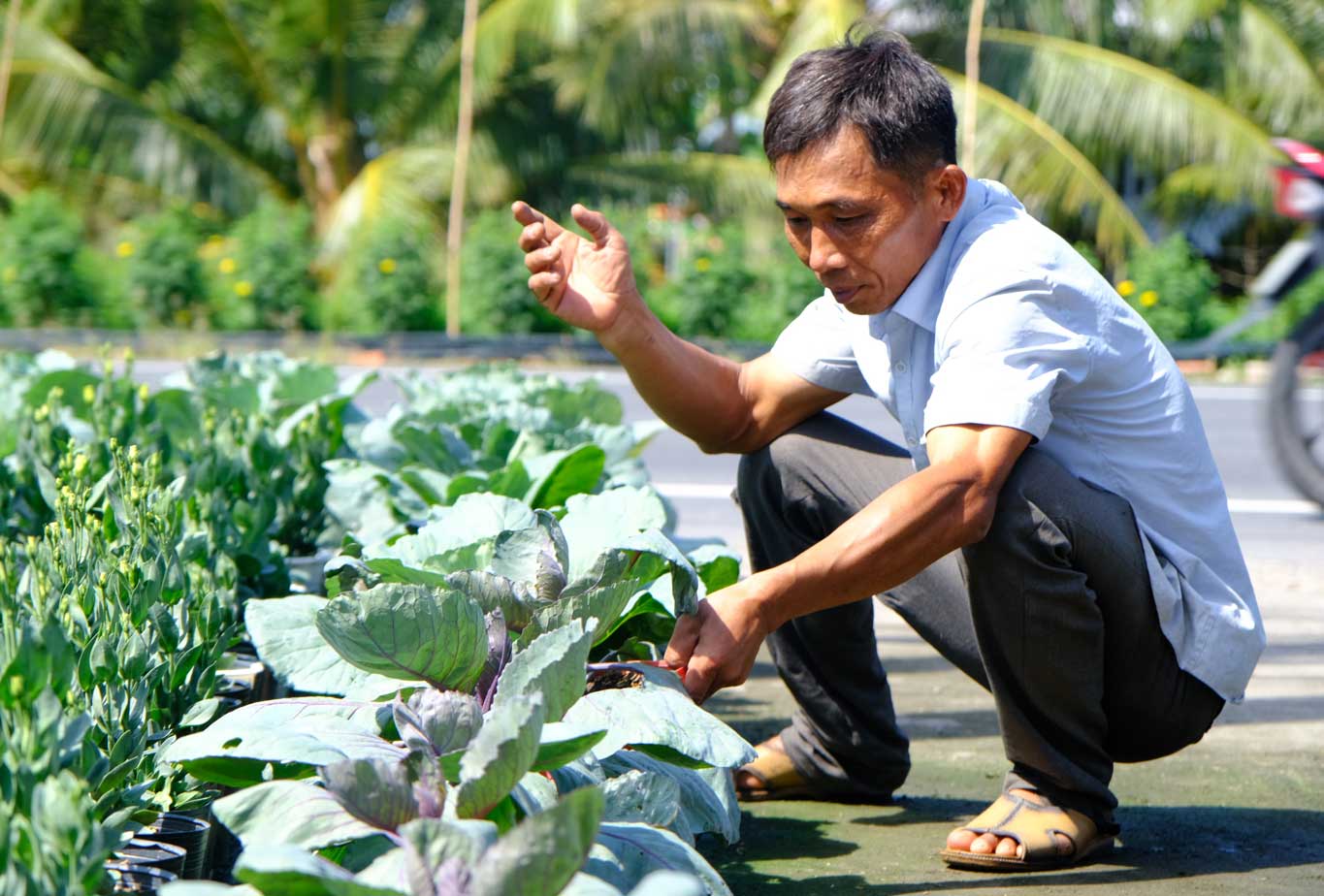 Nông dân sáng tạo đưa nông sản lên chậu trồng