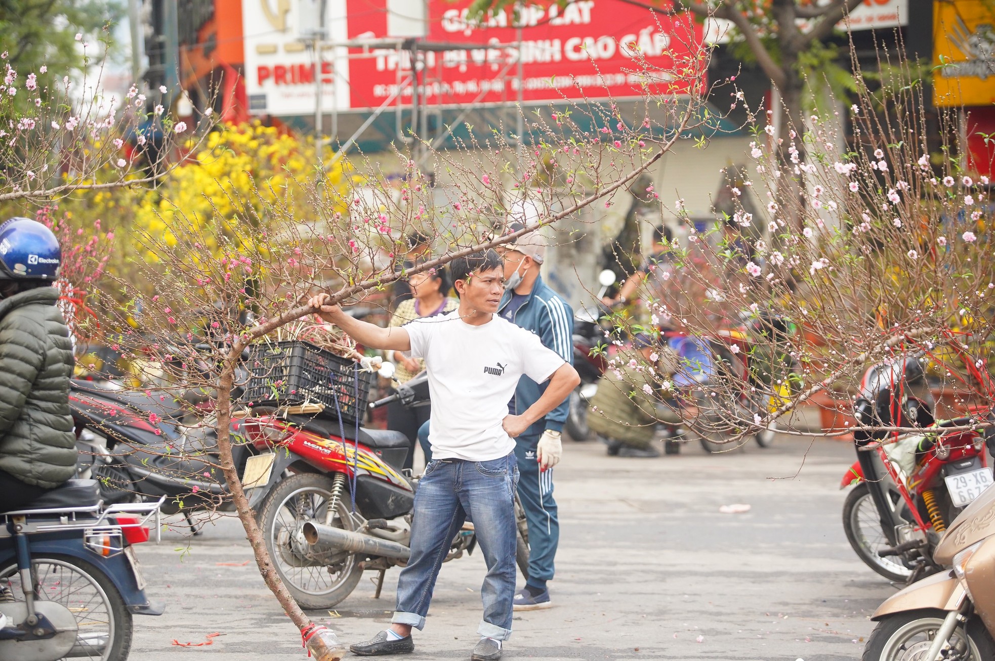 Ngày đầu kỳ nghỉ Tết Nguyên đán, người dân hồ hởi xuống phố 'săn' đào, quất ảnh 4