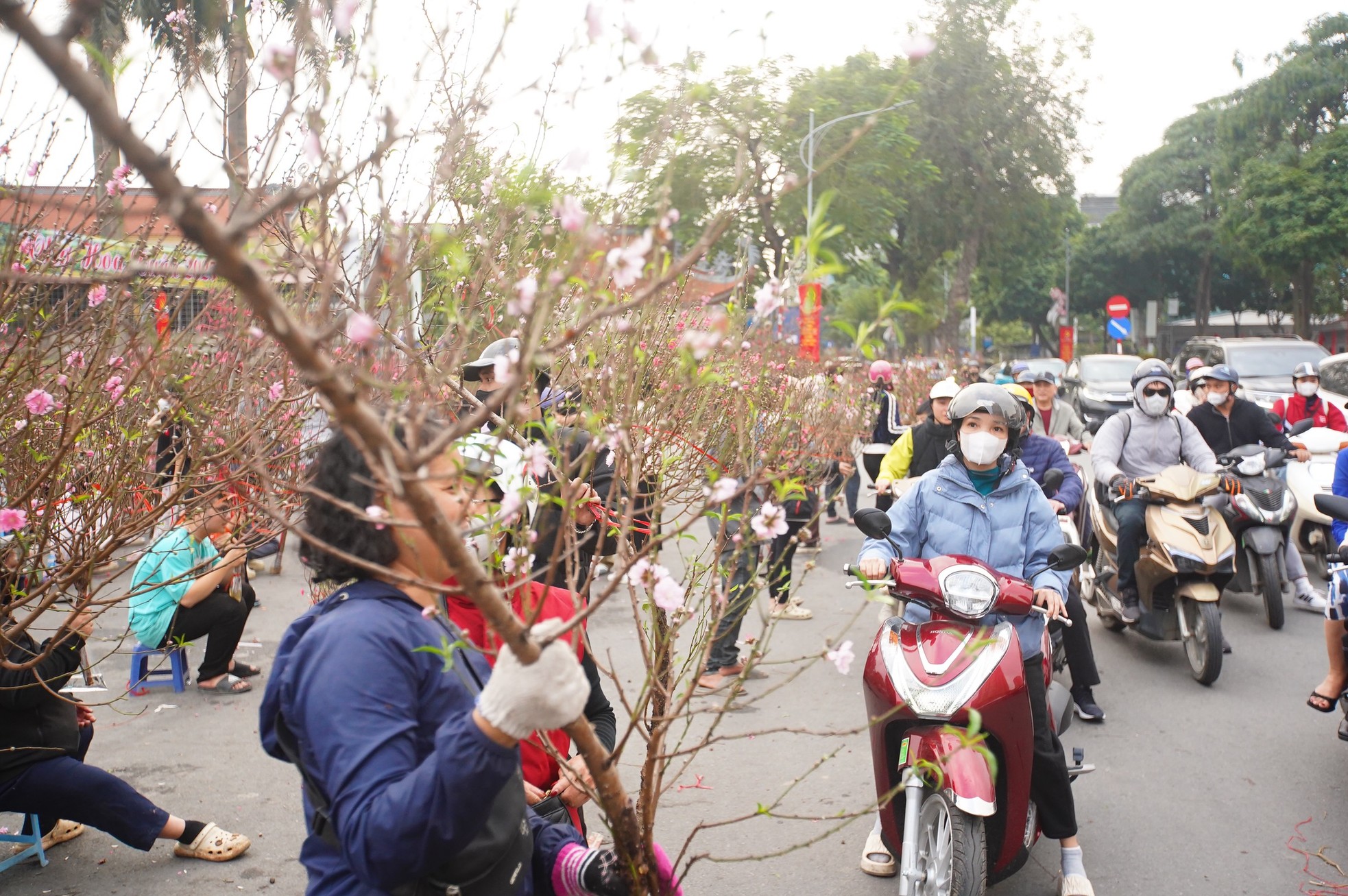 Ngày đầu kỳ nghỉ Tết Nguyên đán, người dân hồ hởi xuống phố 'săn' đào, quất ảnh 9