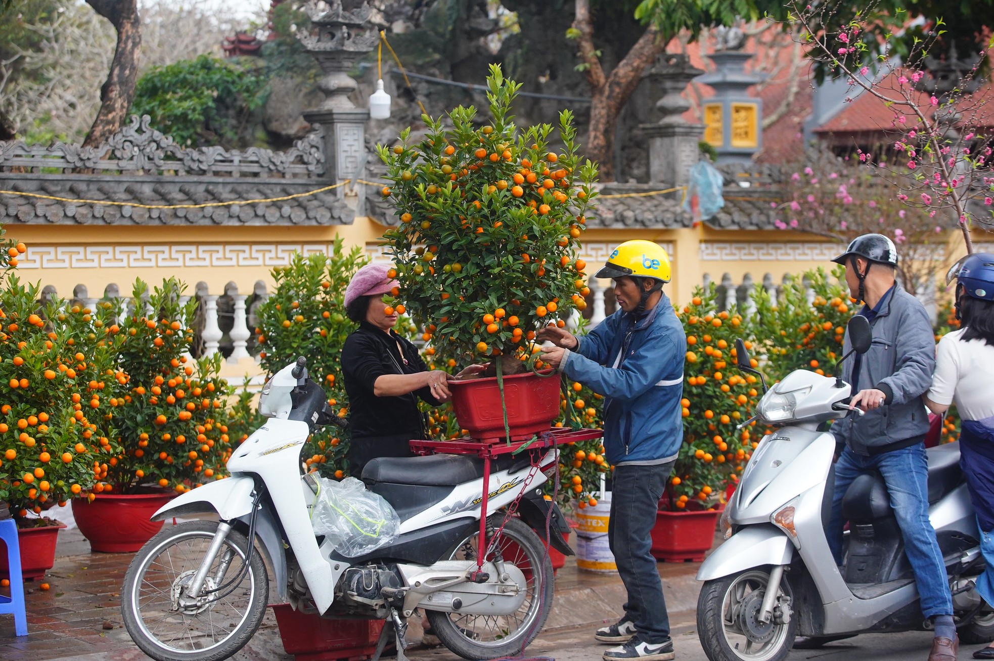 Ngày đầu kỳ nghỉ Tết Nguyên đán, người dân hồ hởi xuống phố 'săn' đào, quất ảnh 13