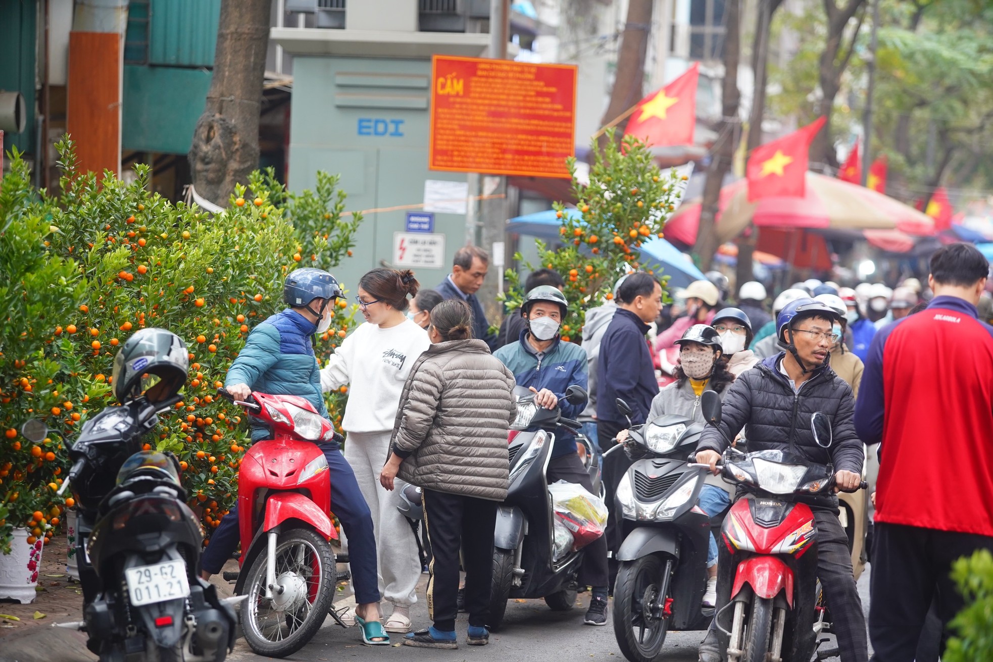 Ngày đầu kỳ nghỉ Tết Nguyên đán, người dân hồ hởi xuống phố 'săn' đào, quất ảnh 20