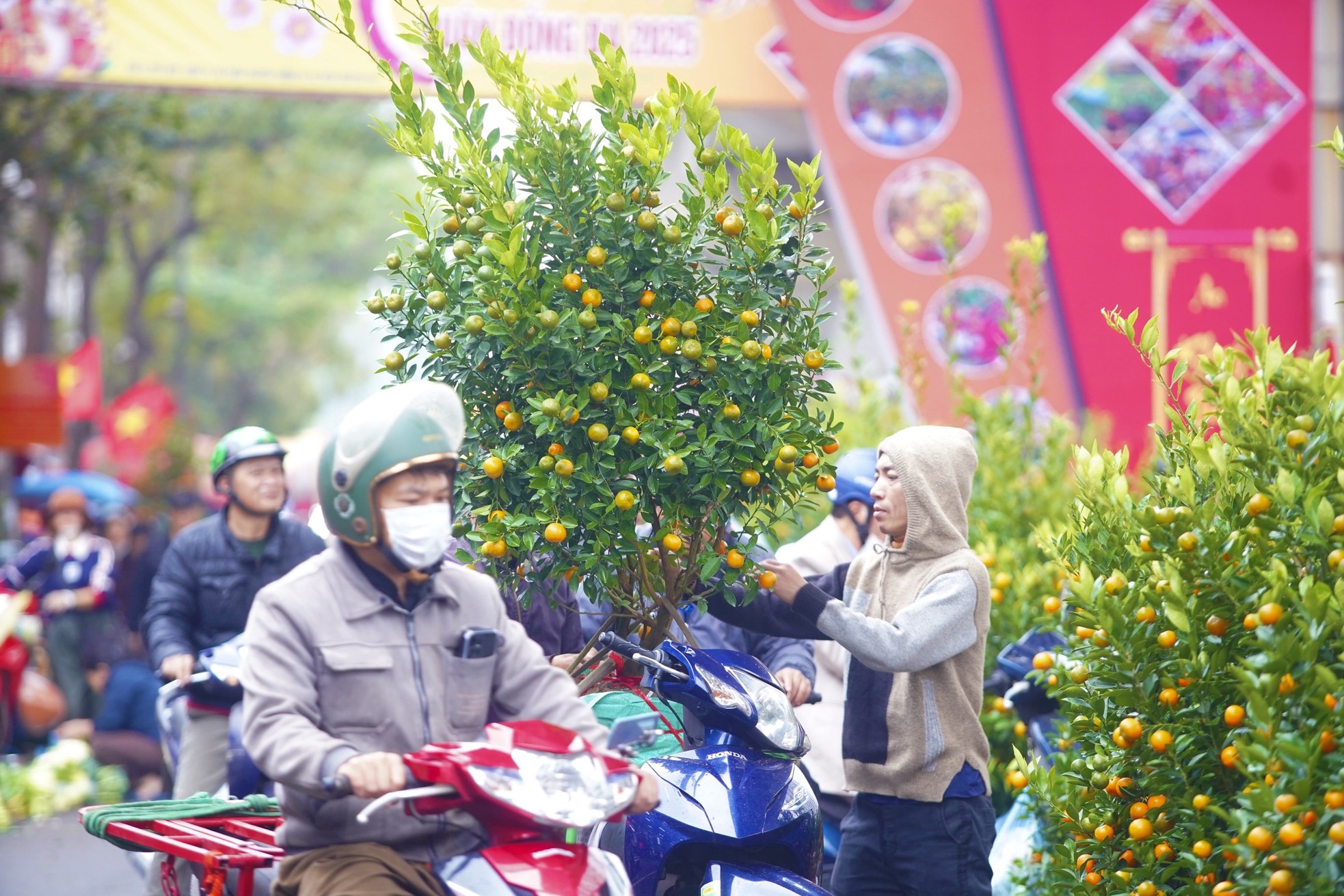 Ngày đầu kỳ nghỉ Tết Nguyên đán, người dân hồ hởi xuống phố 'săn' đào, quất ảnh 22