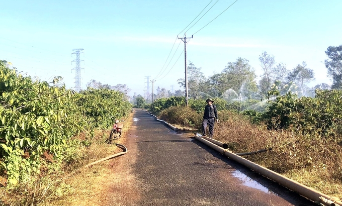 Công ty cà phê Ia Sao 2 (huyện Ia Grai) đang triển khai tưới nước đợt 1 cho vườn cây. Ảnh: Đăng Lâm. 