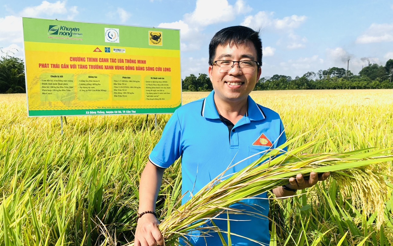 Dự báo trúng mùa, nông dân vùng biên giới Long An vui xuân vẫn không quên tất bật với đồng lúa- Ảnh 3.