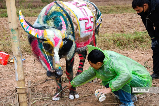 Những chú trâu "rực rỡ" đem xuân về tại lễ hội Tịch điền Đọi Sơn- Ảnh 6.