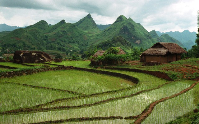 Những hành vi bị nghiêm cấm trong lĩnh vực đất đai, ai cũng nên biết- Ảnh 1.