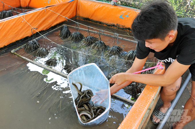 Điểm nổi bật của mô hình này là áp dụng các giải pháp kỹ thuật giúp tự làm sạch và tái sử dụng nguồn nước. Ảnh: Lê Hoàng Vũ.