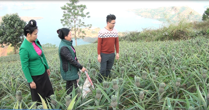 Nhiều vùng trung du, miền núi tiềm năng về nông nghiệp vẫn còn lớn và chưa được khai thác hiệu quả.