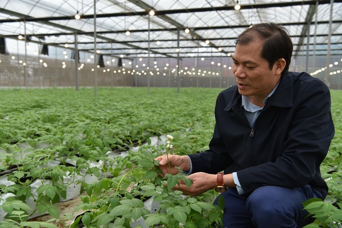 TS Nguyễn Xuân Trường - Viện trưởng Viện Sinh học Nông nghiệp bên trong nhà màng thử nghiệm giống khoai tây. Ảnh: Dương Đình Tường.