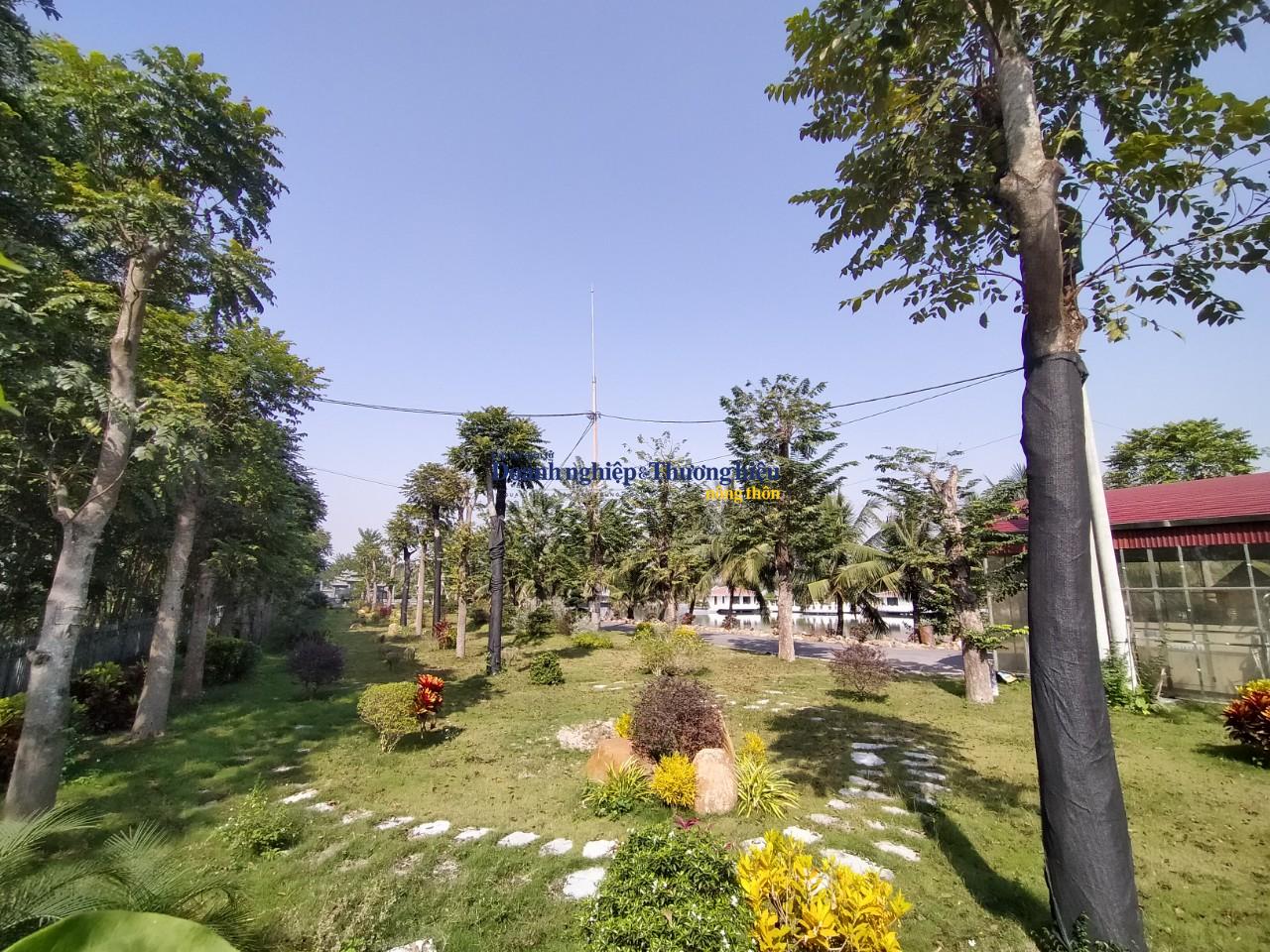 Cây cối bên trong biệt phủ