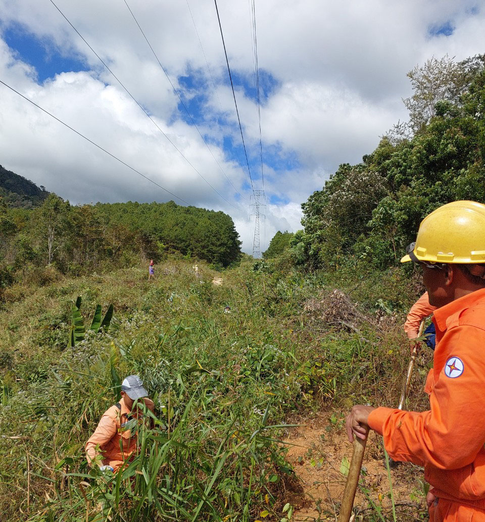 Dọn thực bì chống cháy dưới đx 220kV 