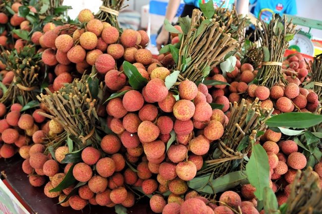 vai-thieu