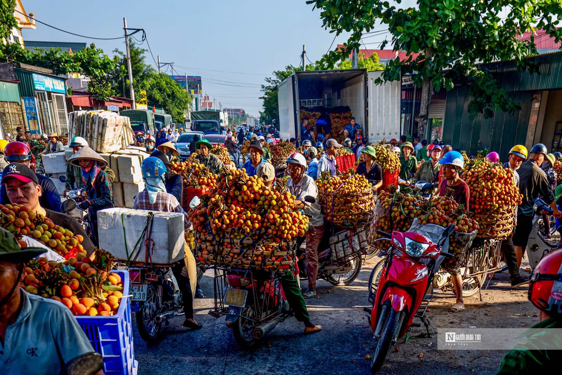 vai-thanh-ha76666666666666