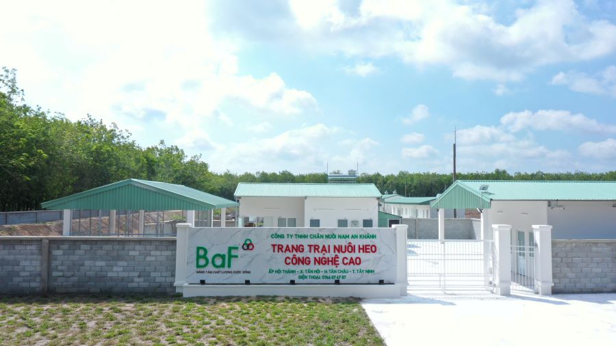 BAF Việt Nam