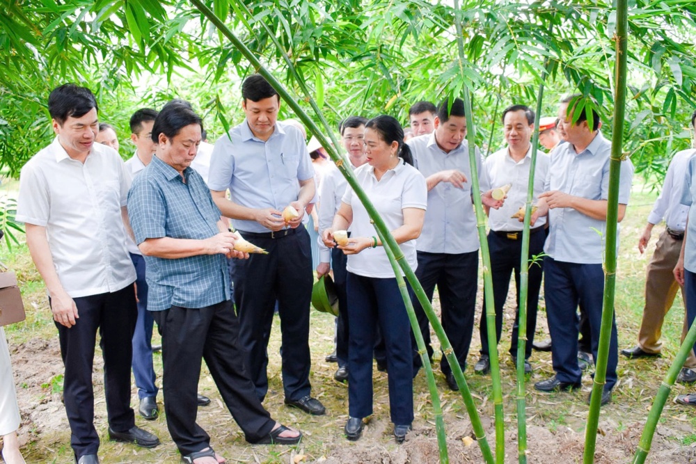 Câu chuyện về 2 sản phẩm OCOP tham dự 4 sao tham gia đánh giá  lại đợt 1 năm 2024 của huyện  Tân Yên 4