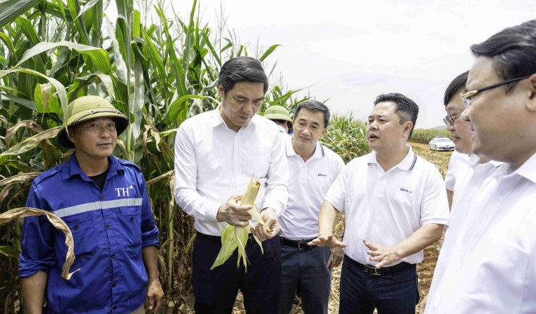 Phó Bí thư Tỉnh ủy Nghệ An, ông Hoàng Nghĩa Hiếu cùng đoàn công tác trò chuyện với công nhân Tập đoàn TH tại cánh đồng Đông Hiếu