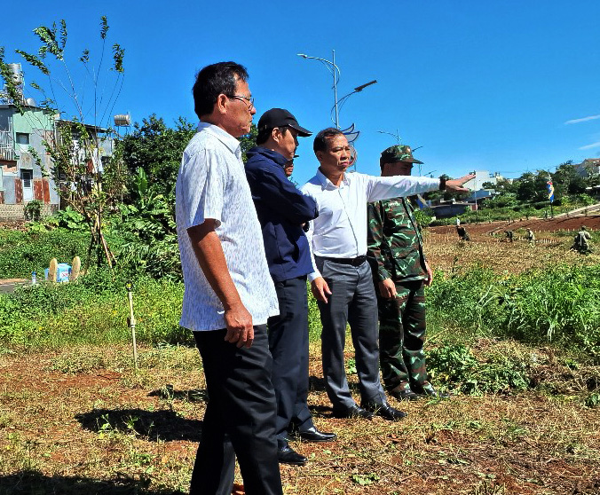 Pleiku: “Suối hoa” Hội Phú chuẩn bị đón Tết Ất Tỵ 2025  1