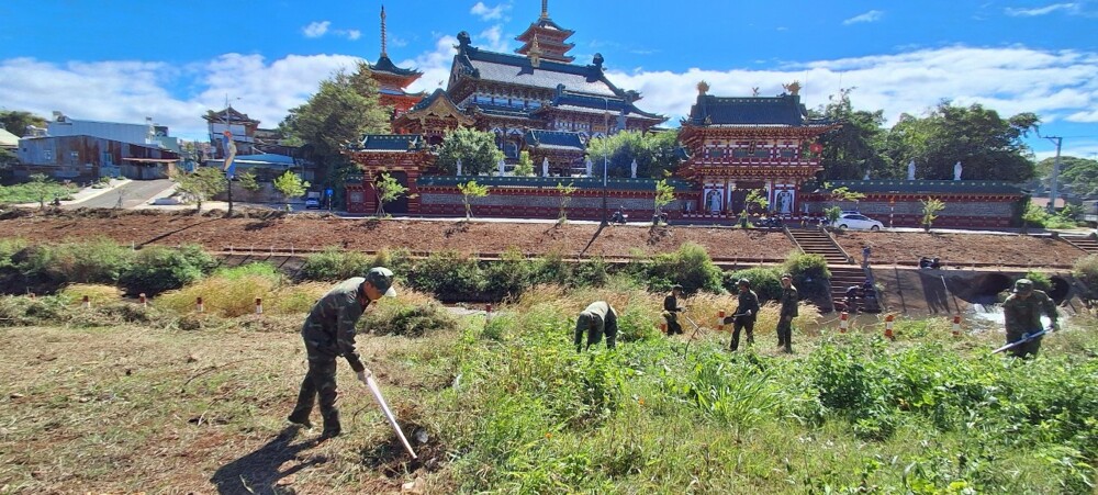 Pleiku: “Suối hoa” Hội Phú chuẩn bị đón Tết Ất Tỵ 2025  2