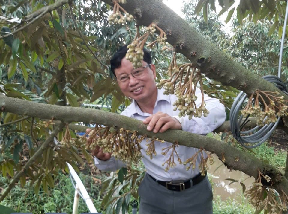 Tây Nguyên vào mùa thụ phấn cho cây riêng 2