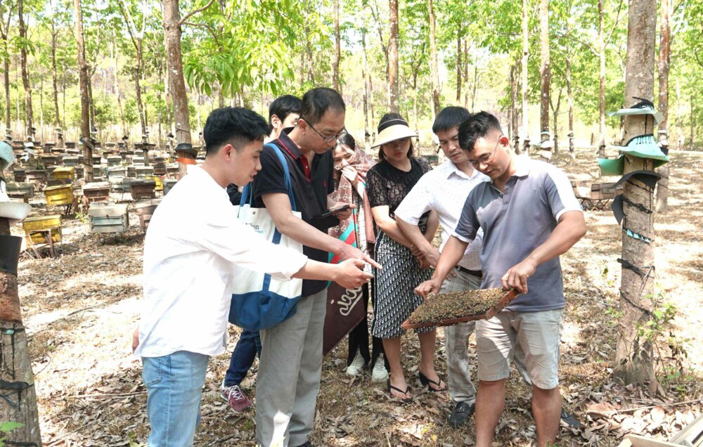 Nông trại Núi Lu - Làm nông nghiệp “lười” để phát triển bền vững 2