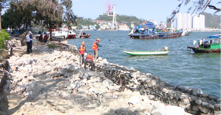 Quảng Ninh: TP Hạ Long chỉ đạo khắc phục sạt lở ở khu du lịch Bãi Cháy 1