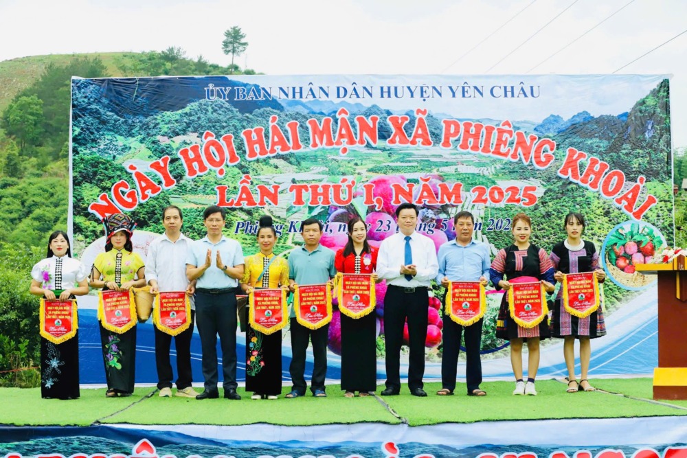 Sơn La: Sôi động ngày hội hái mận ở vùng cao Phiêng Khoài 1