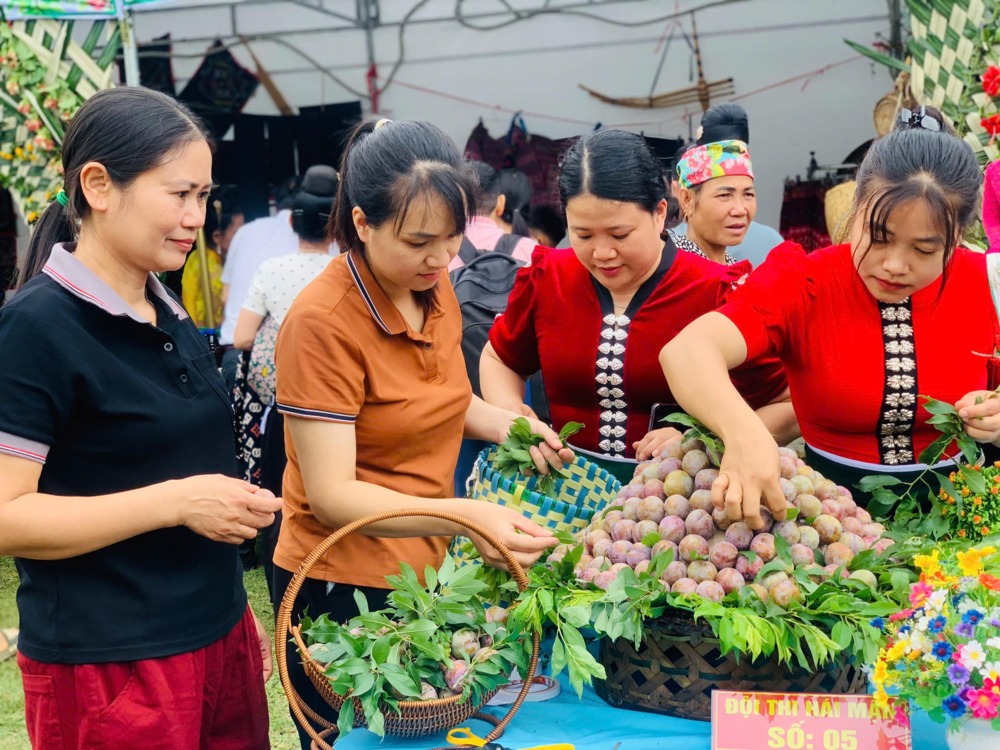 Sơn La: Sôi động ngày hội hái mận ở vùng cao Phiêng Khoài 3