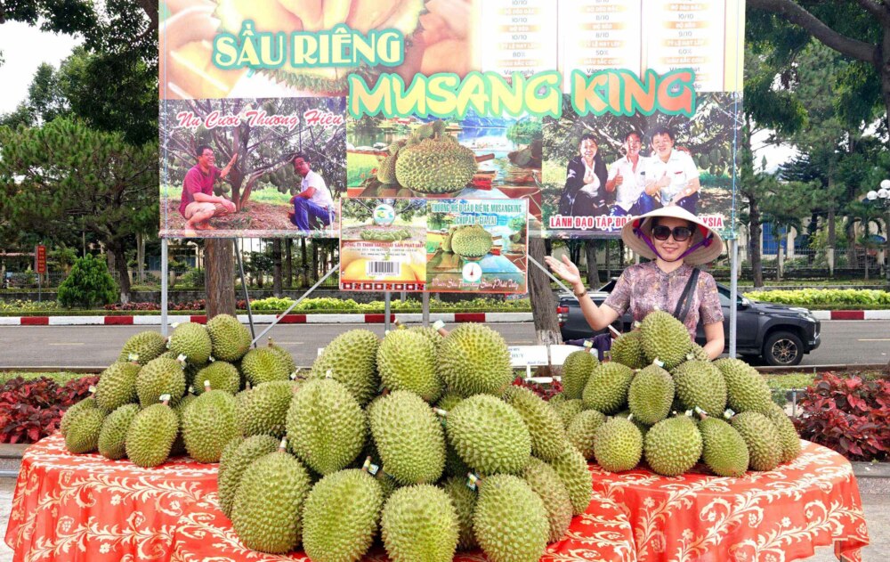 Gia Lai: Thương mại về bản, nông sản ra phố 6