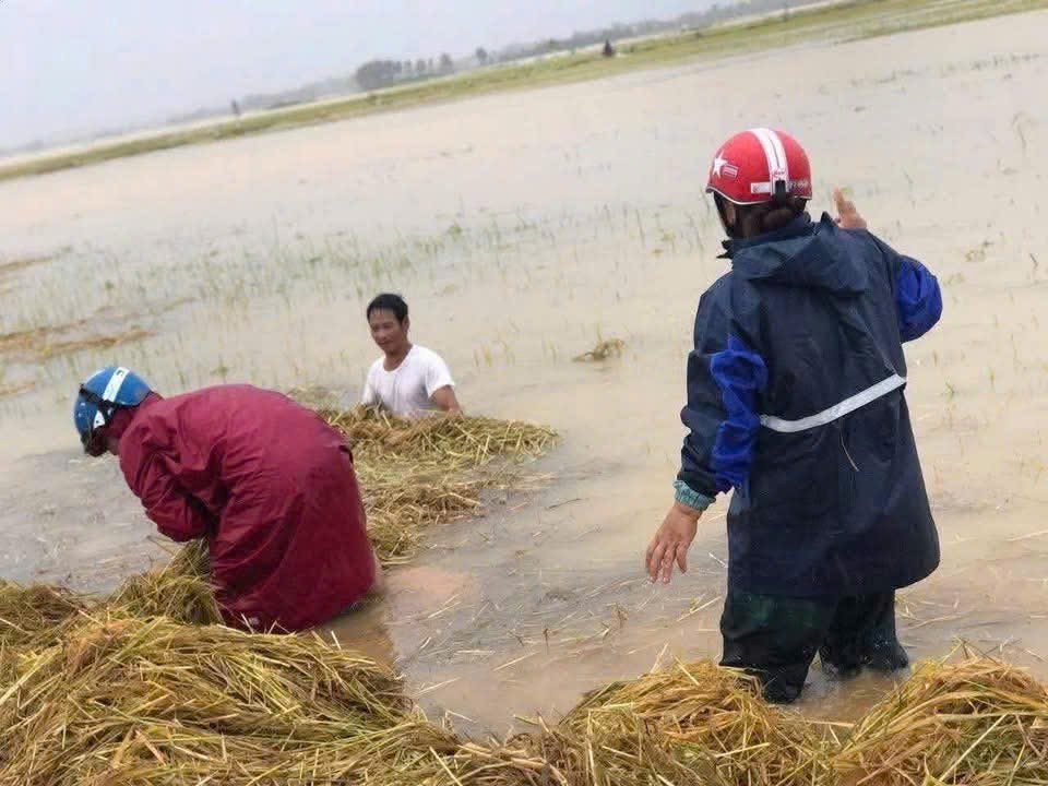 Hà Tĩnh: Mưa lớn gây ngập lụt diện rộng, nhiều thiệt hại về tài sản và hoa màu 4